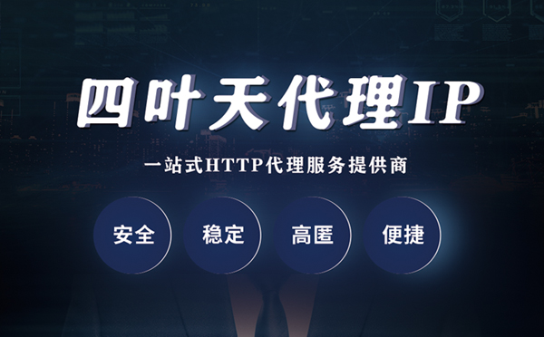 【萍乡代理IP】代理ip客户端使用教程