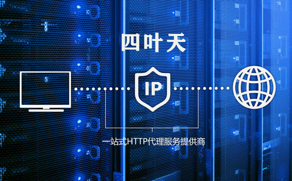 【萍乡代理IP】代理IP的主要用途和使用注意事项